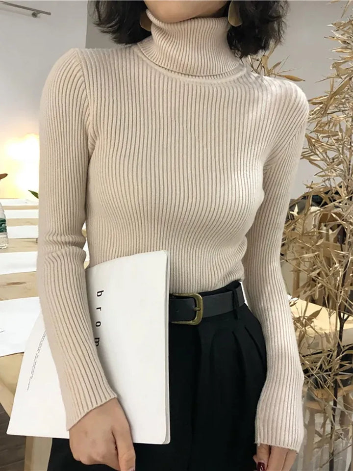 Women's Knit Slim Fit Sweater with Turtleneck