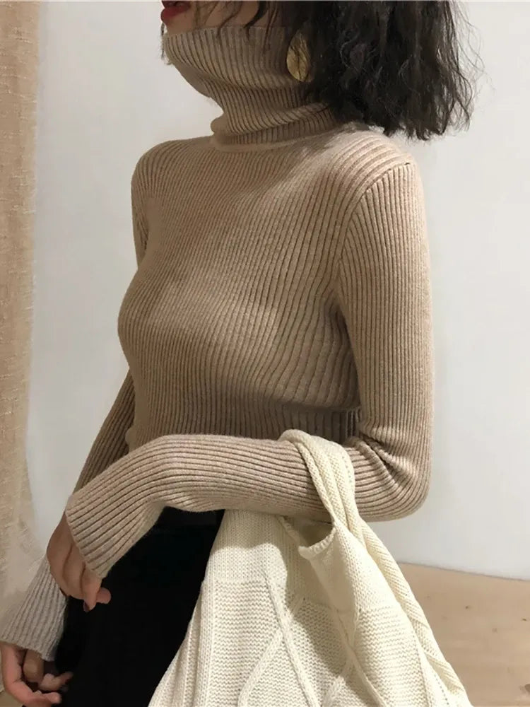 Women's Knit Slim Fit Sweater with Turtleneck