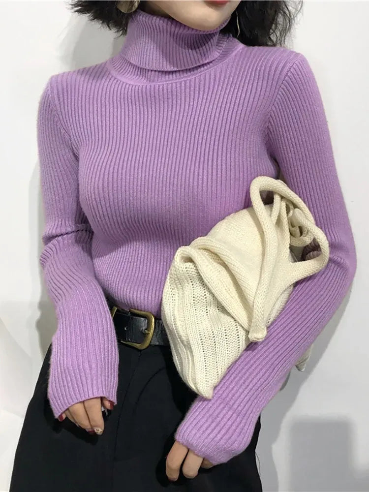 Women's Knit Slim Fit Sweater with Turtleneck