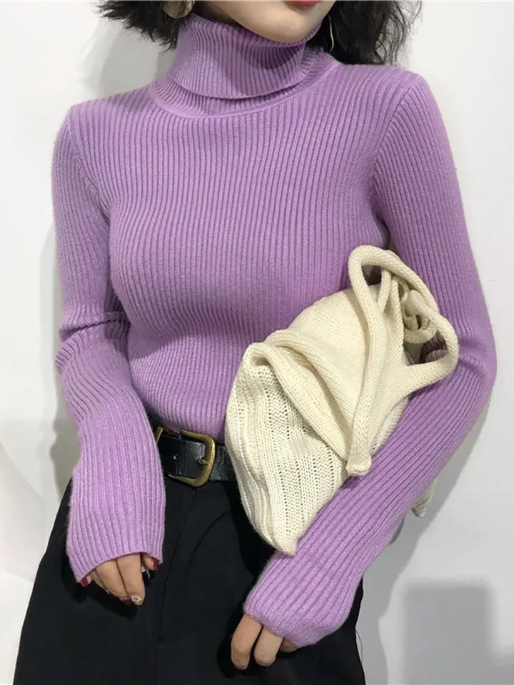 Women's Knit Slim Fit Sweater with Turtleneck