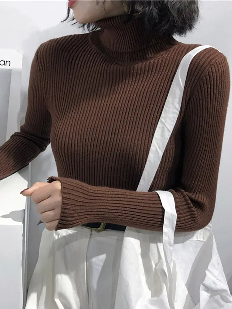 Women's Knit Slim Fit Sweater with Turtleneck