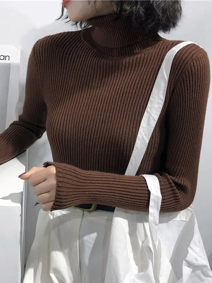 Women's Knit Slim Fit Sweater with Turtleneck