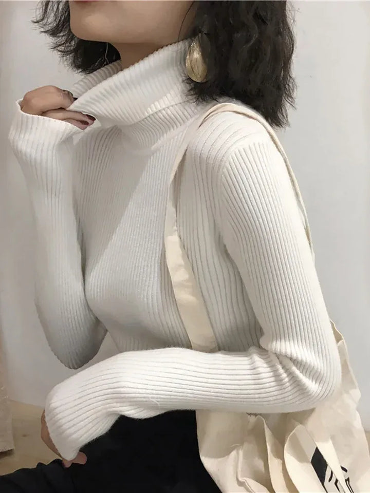 Women's Knit Slim Fit Sweater with Turtleneck