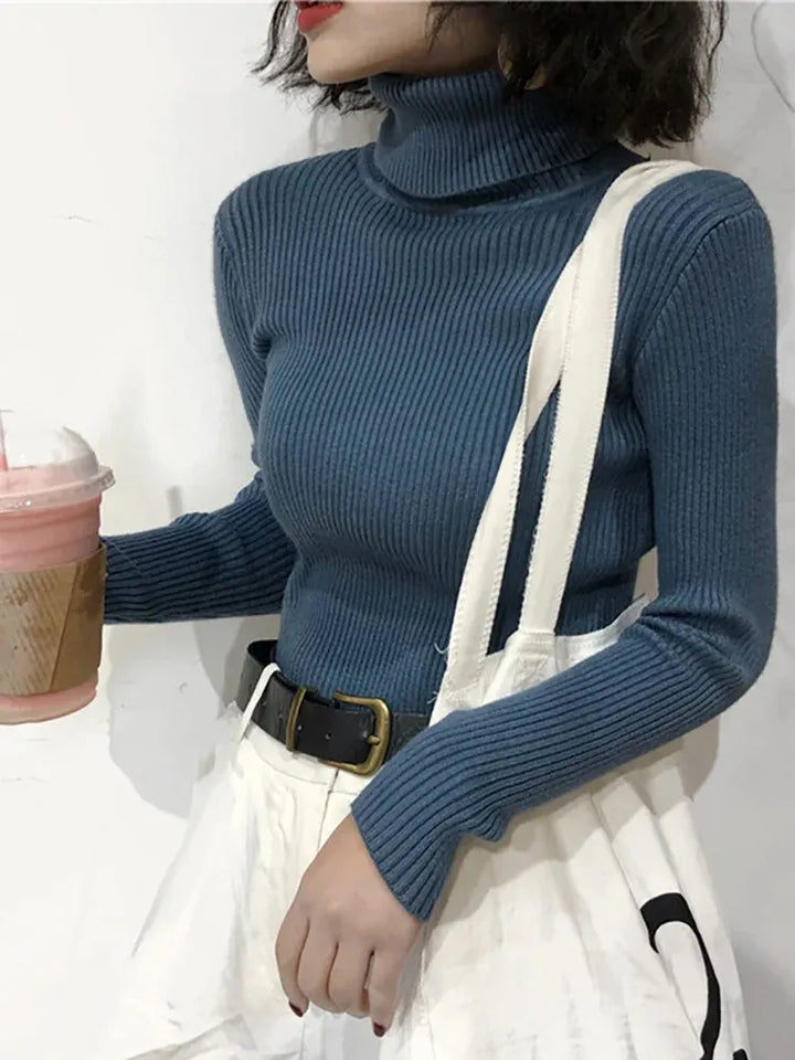 Women's Knit Slim Fit Sweater with Turtleneck