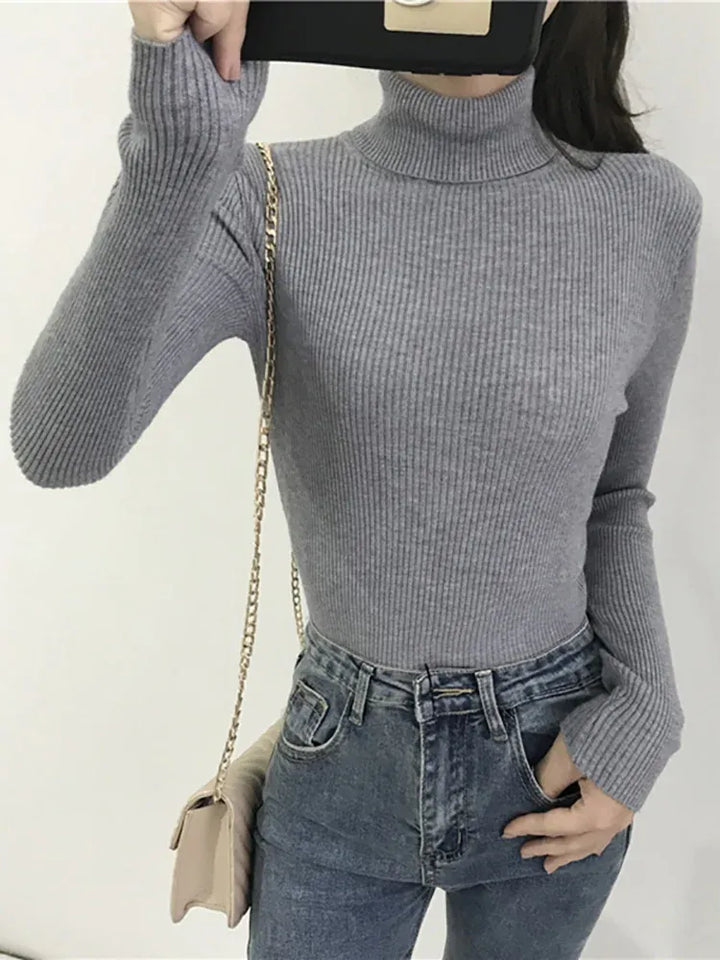 Women's Knit Slim Fit Sweater with Turtleneck