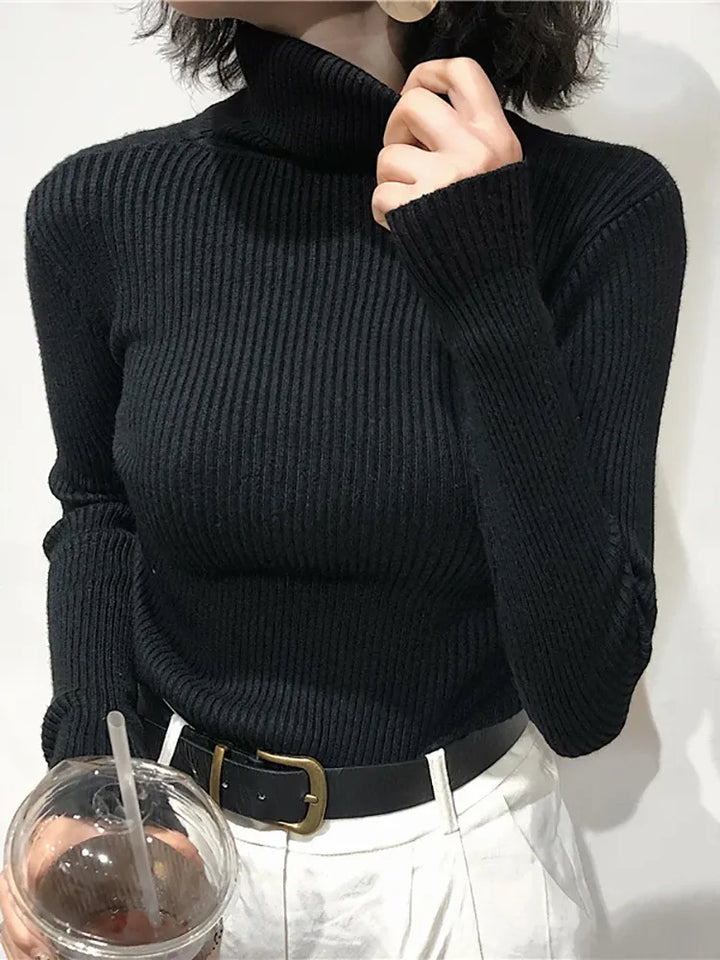 Women's Knit Slim Fit Sweater with Turtleneck