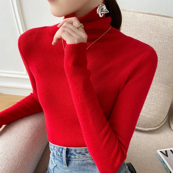 Women's Slim Fit Knit Sweater with Turtleneck